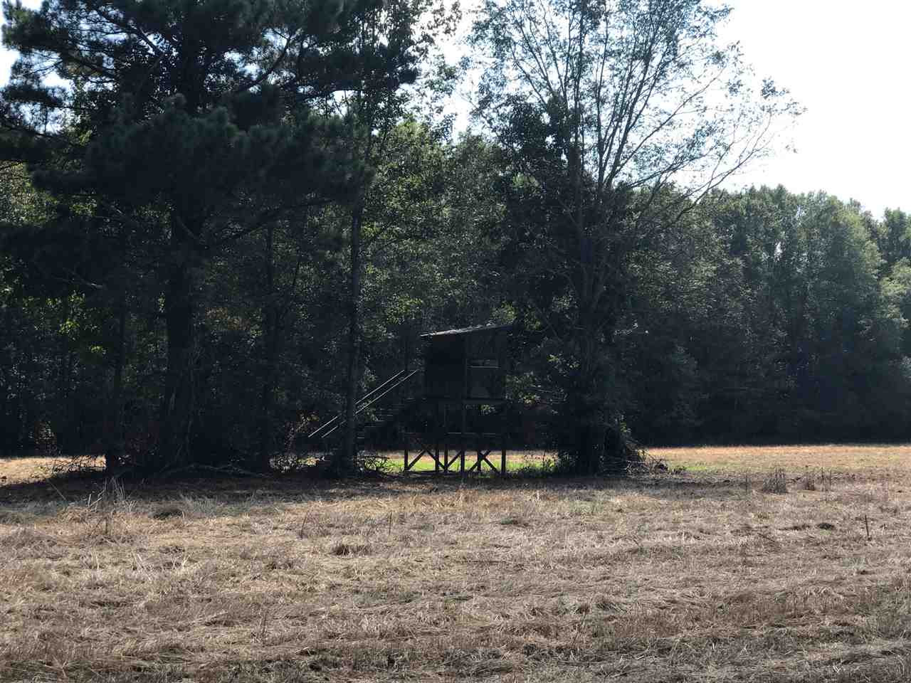 105 Drysdale Road Carthage, MS 39051 - Photo 42 of 47 Photo 45