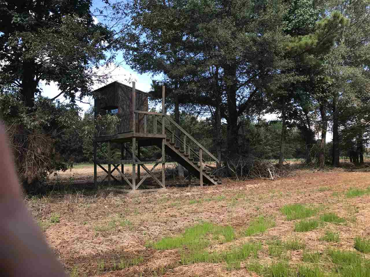 105 Drysdale Road Carthage, MS 39051 - Photo 44 of 47 Photo 47
