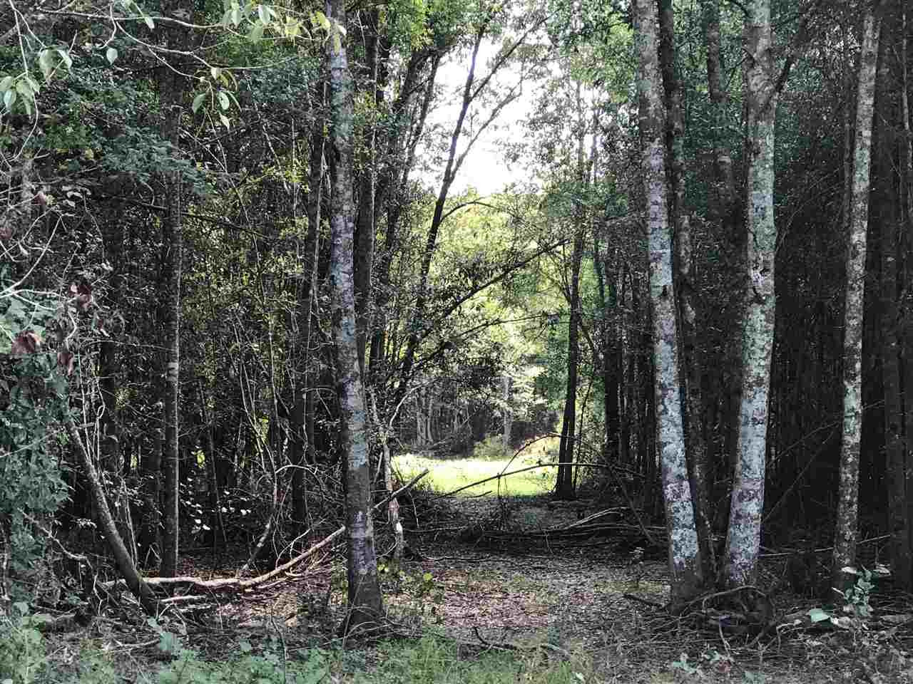 105 Drysdale Road Carthage, MS 39051 - Photo 46 of 47 Photo 49