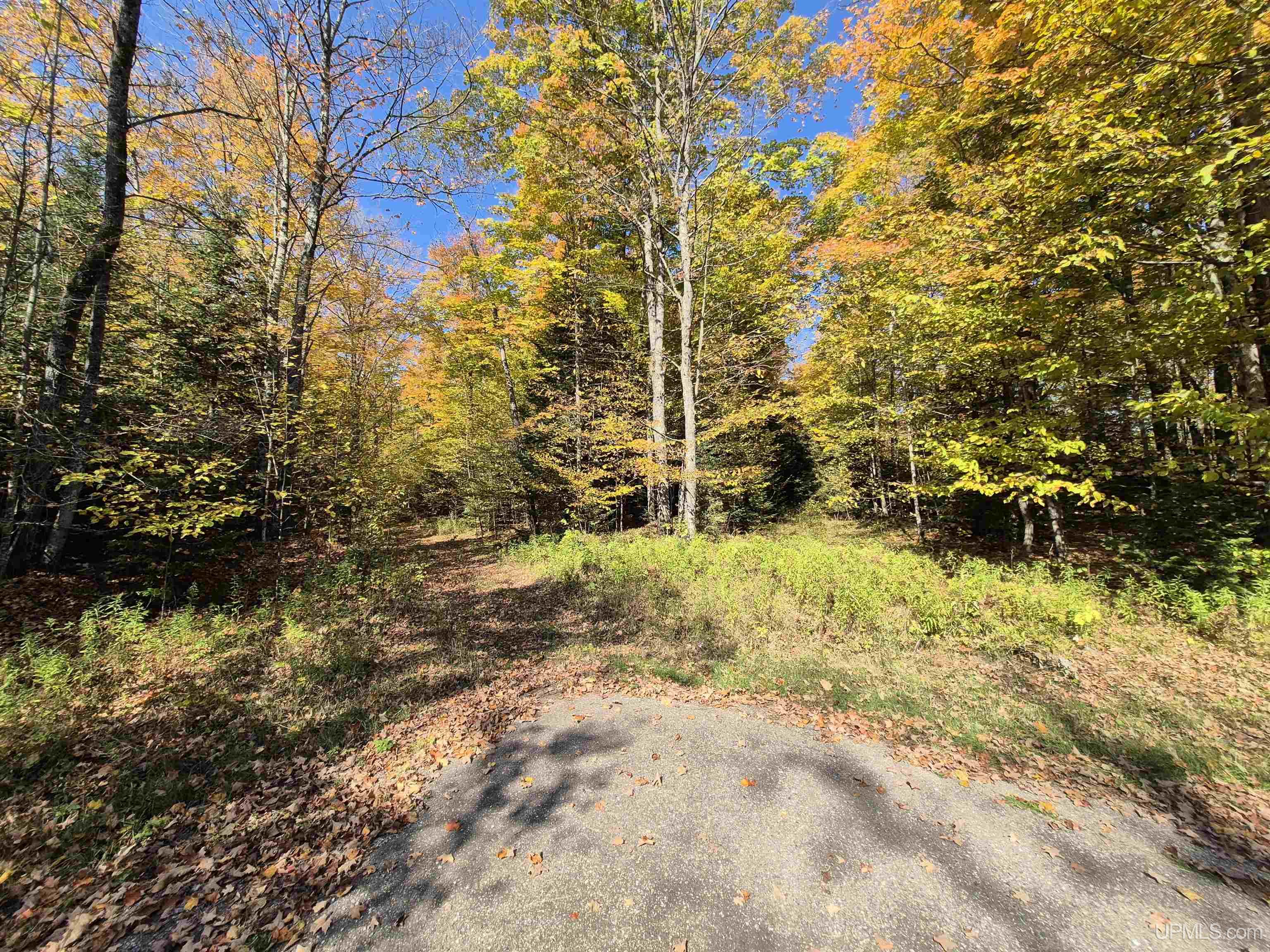 40-acres Mattson Road Felch, MI 49831 - Photo 34 of 45 Gallery Image 34