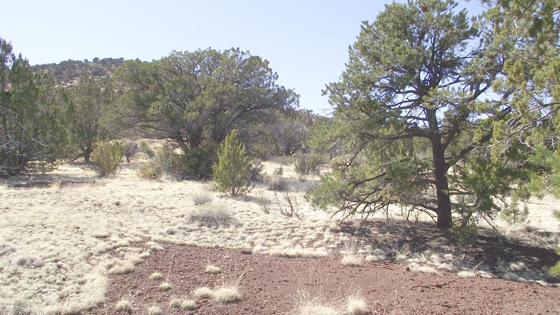 1 East Spring Valley Road Williams, AZ 86046 - Photo 2 of 6 DSCF0897