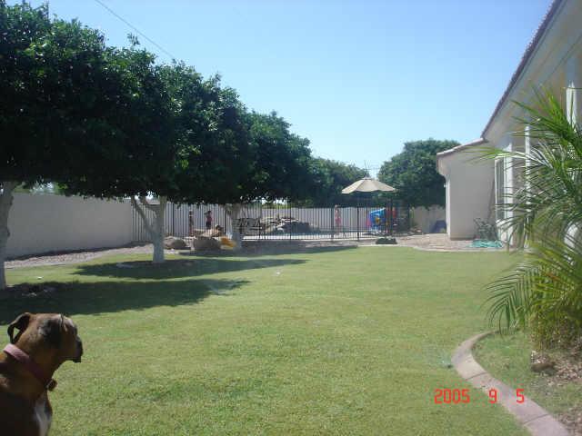3529 East Decatur Street Mesa, AZ 85213 - Photo 6 of 6 Additional Photo