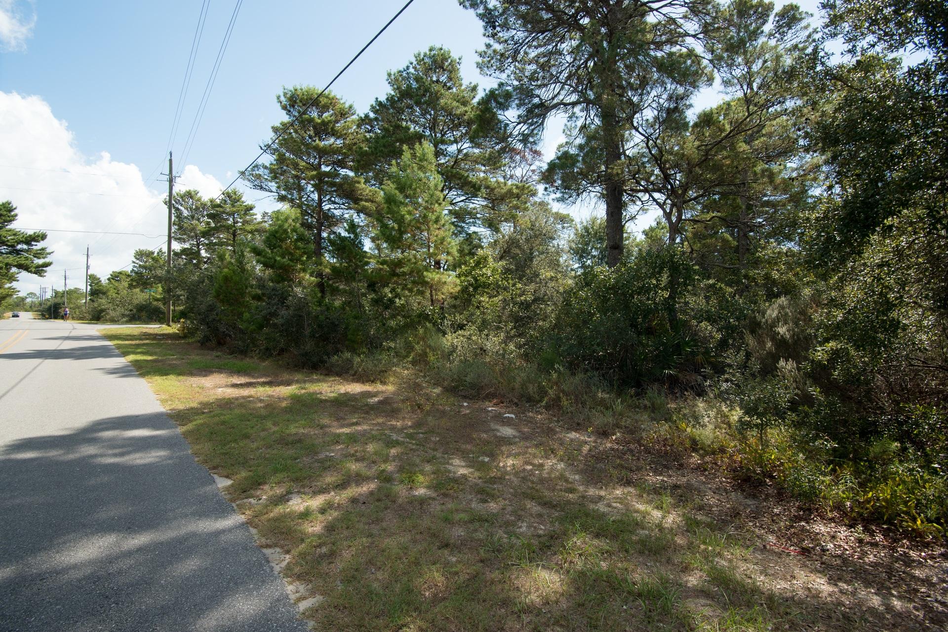 Lot 16-bka Lot 16-bka Ridge Road Santa Rosa Beach, FL 32459 - Photo 2 of 18 a view of a yard with a tree