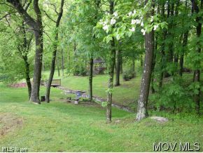 40 Mound Manor Road St. Marys, WV 26170 - Photo 3 of 12 Back Lawn