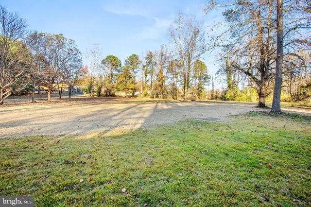 a view of yard with trees
