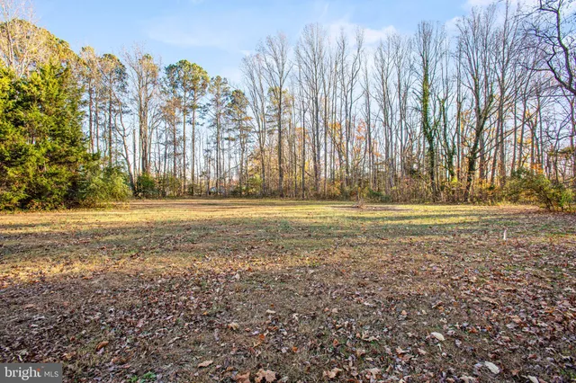 a view of outdoor space with yard and trees all around