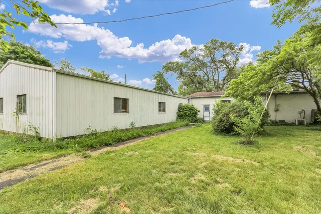 a view of a backyard with plants and a large tree
