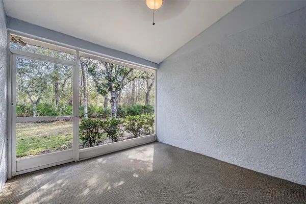 a view of a garden from window
