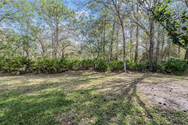 a view of a yard with a tree