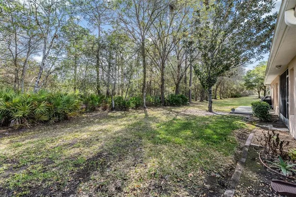 a view of outdoor space with trees all around