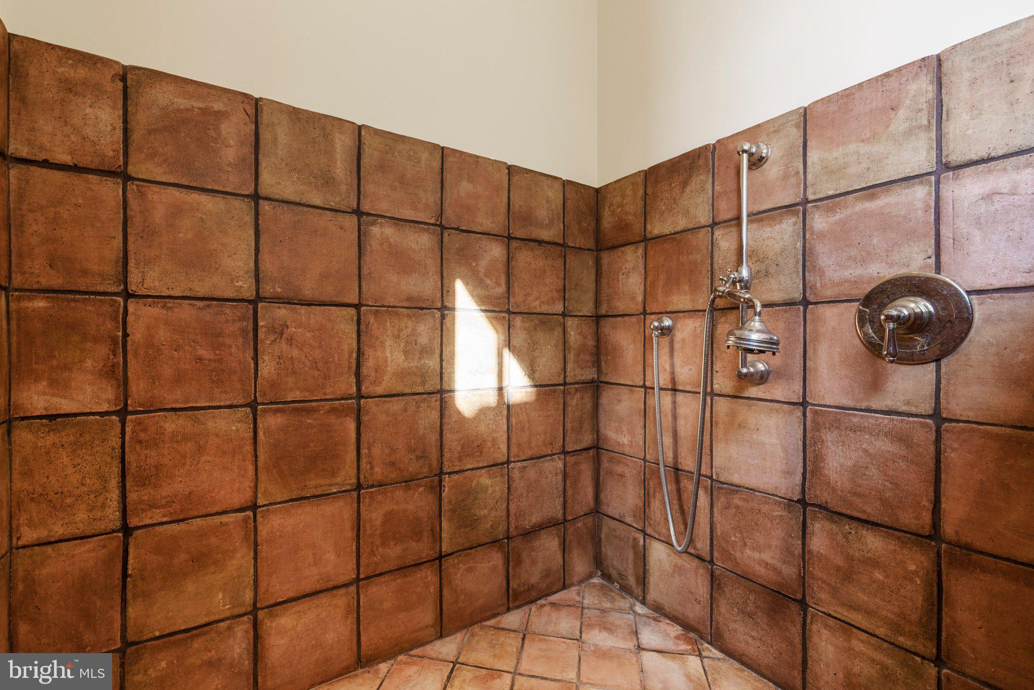 1077 Ginns Road Boyce, VA 22620 - Photo 51 of 140 Dog bath