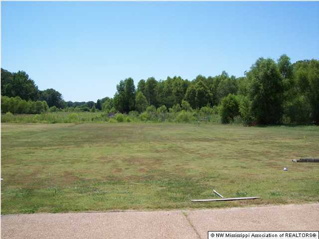 1557 Jaybird Road Hernando, MS 38632 - Photo 6 of 15 Additional Photo