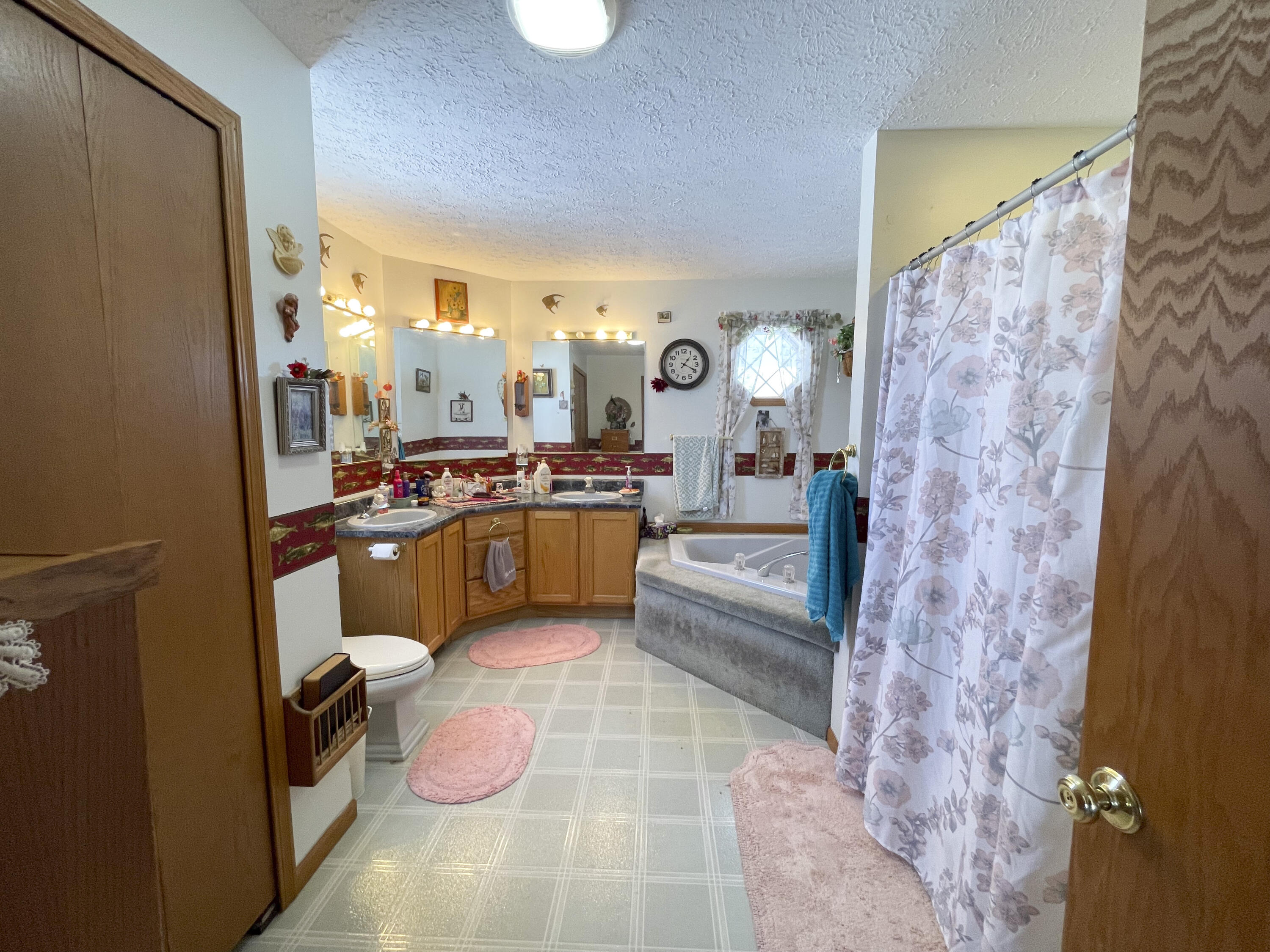 13631 Bemis Road Manchester, MI 48158 - Photo 14 of 33 Main EnSuite Bath