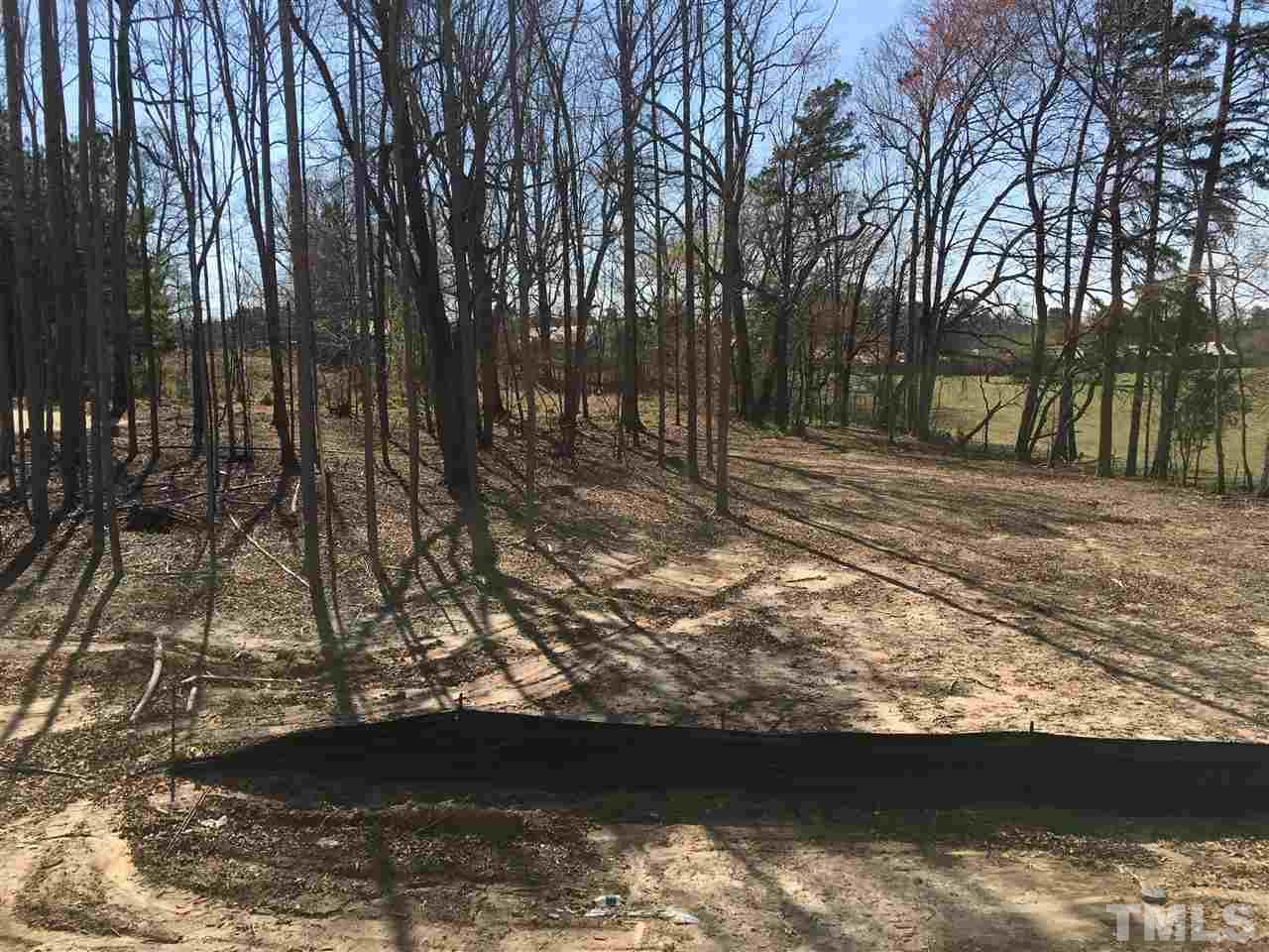 1104 Harrison Ridge Road, Unit CARLTON Wake Forest, NC 27587 - Photo 10 of 11