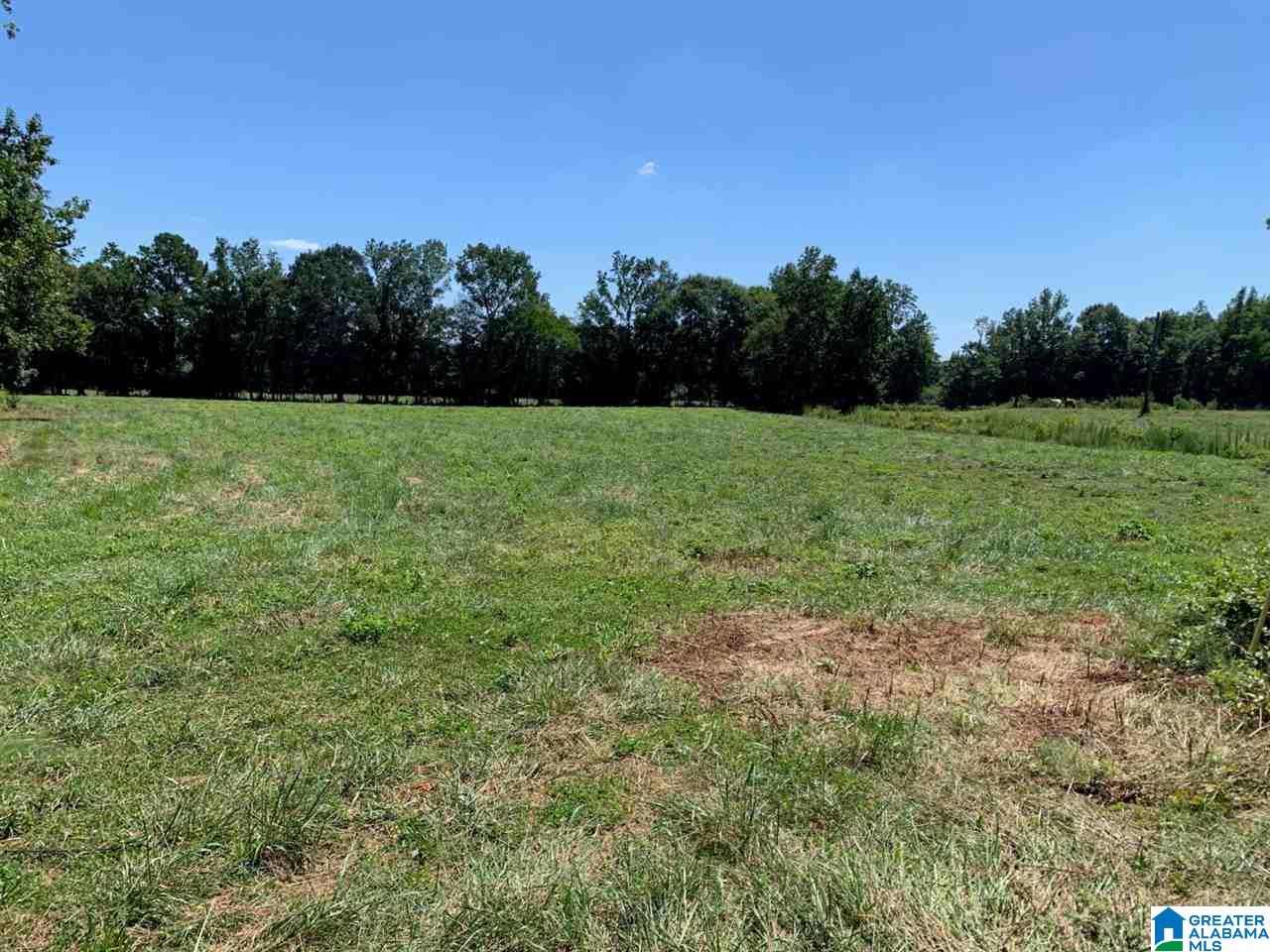 470 Mcvey Road Lineville, AL 36266 - Photo 22 of 26