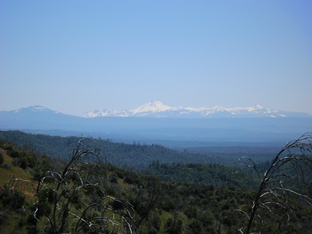 19-acres Backbone Road Bella Vista, CA 96008 - Photo 7 of 12 Lassen View