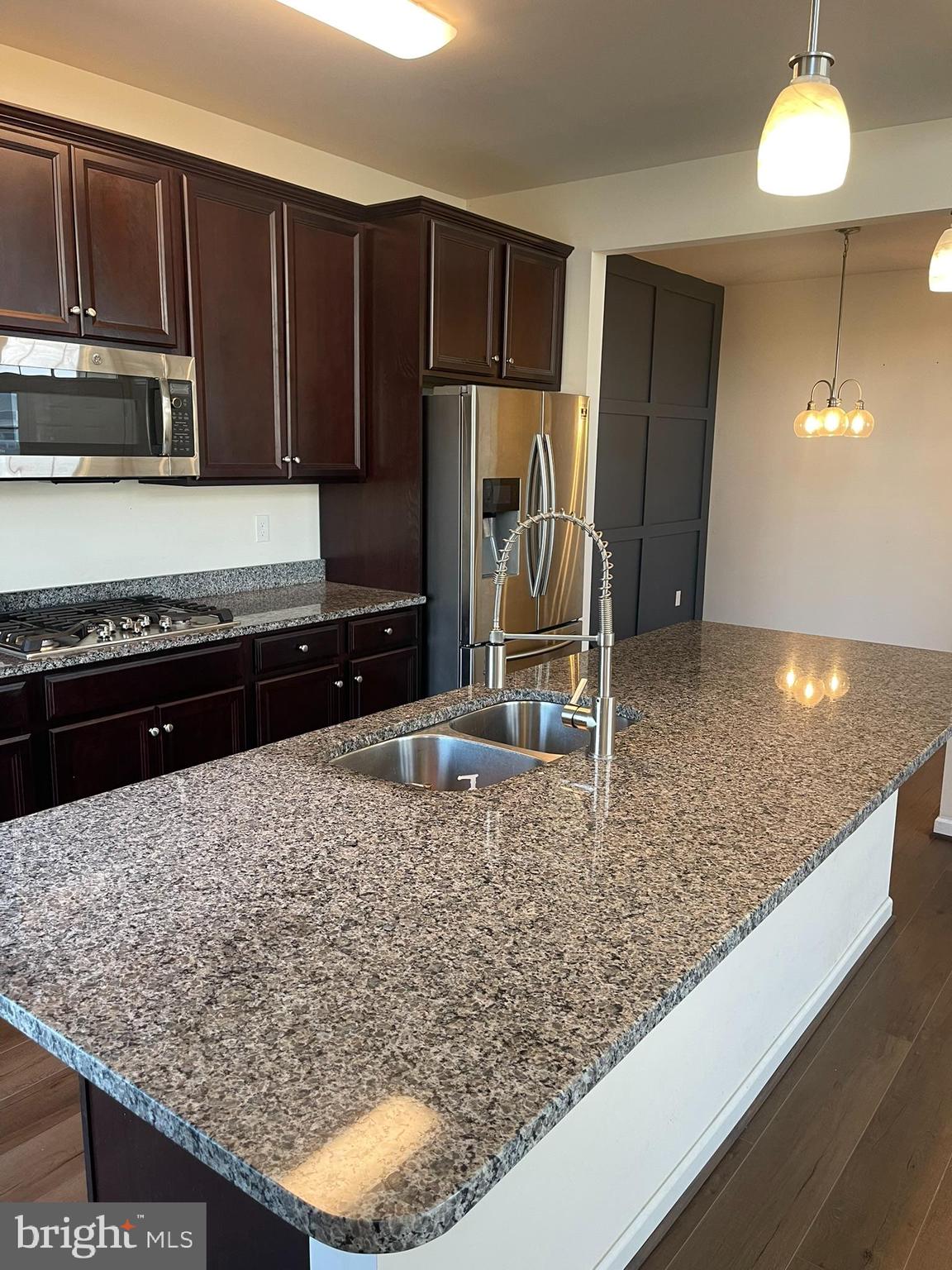 241 Rossnakill Road Middletown, DE 19709 - Photo 13 of 55