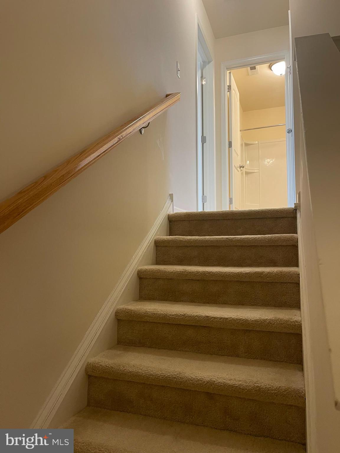 241 Rossnakill Road Middletown, DE 19709 - Photo 36 of 55