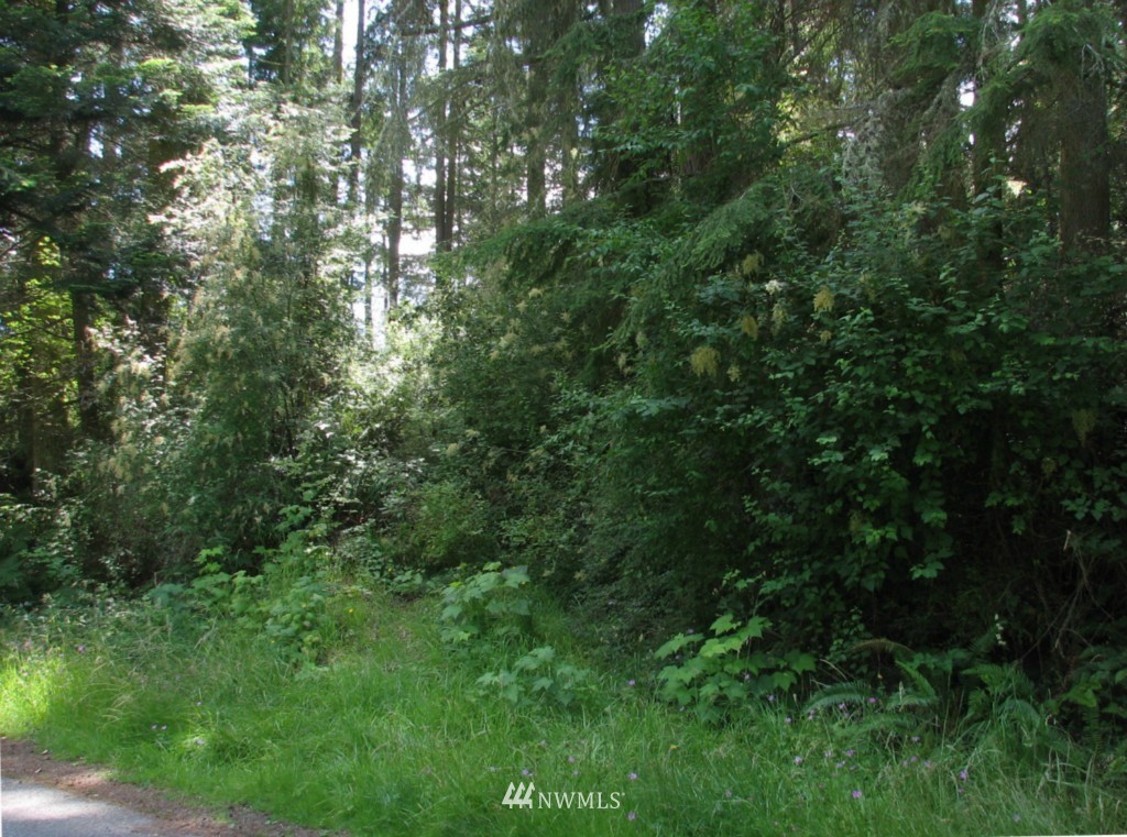 2222 Basswood Road Freeland, WA 98249 - Photo 1 of 1 Gallery Image 1