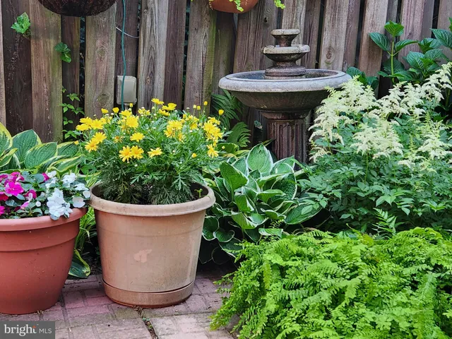 a view of a hallway with furniture and rug