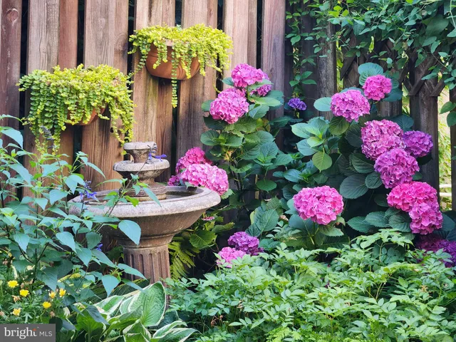 $339,900 | 37 North Charlotte Street, Lancaster, PA 17603