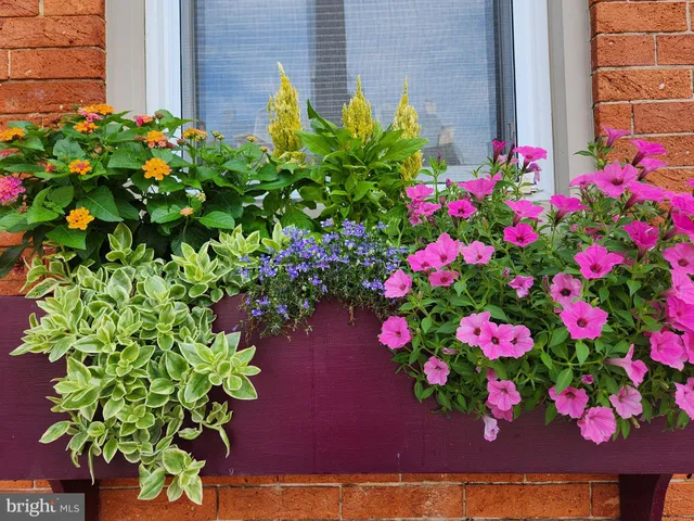 $339,900 | 37 North Charlotte Street, Lancaster, PA 17603