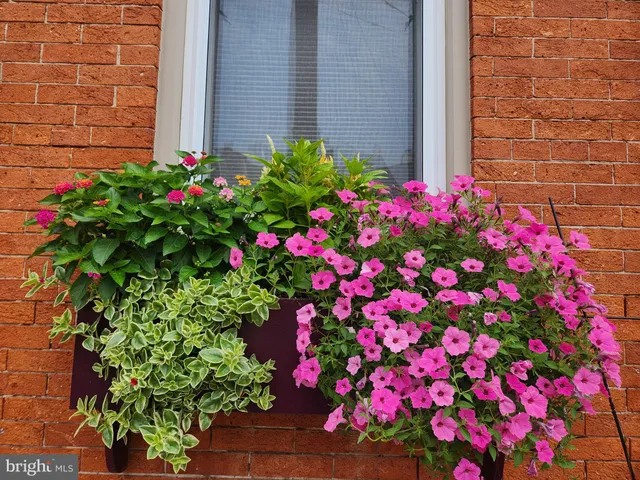 $339,900 | 37 North Charlotte Street, Lancaster, PA 17603