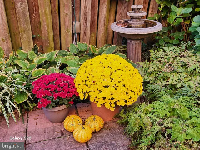 $339,900 | 37 North Charlotte Street, Lancaster, PA 17603