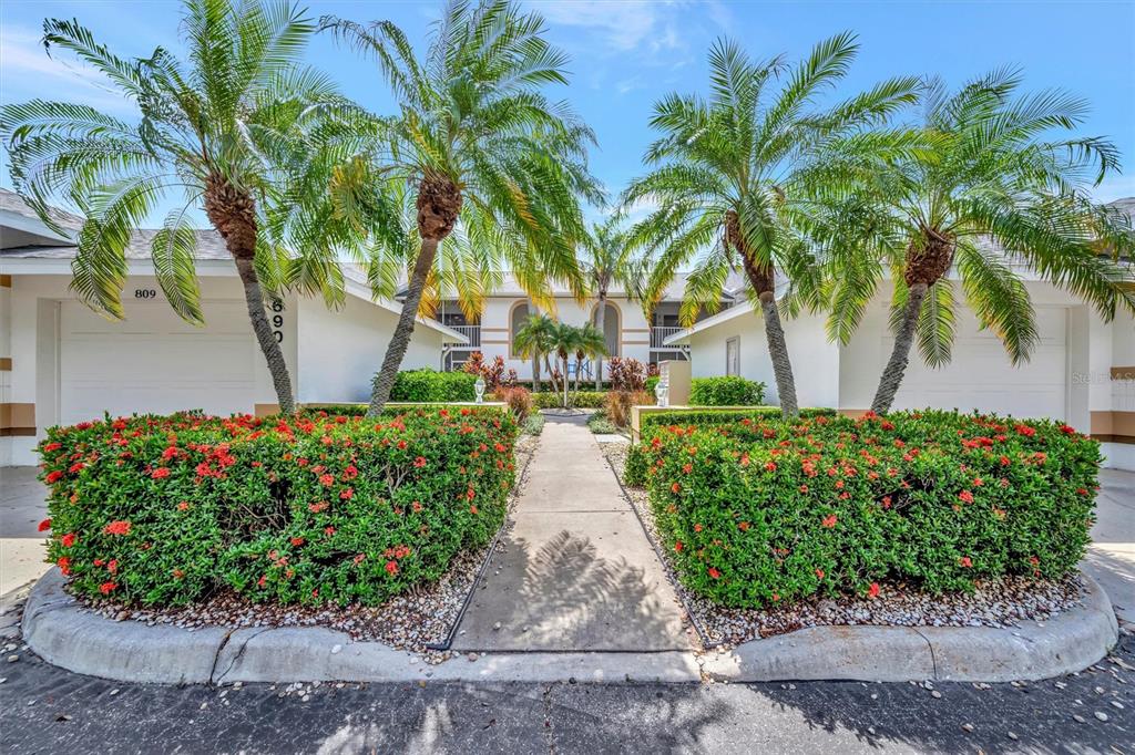 a view of path and green space