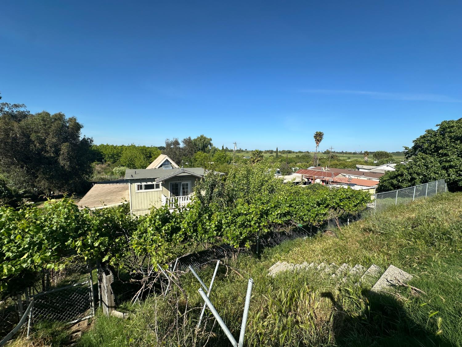 777 West Brannan Island Road Isleton, CA 95641 - Photo 3 of 24 a view of a garden with a building in the background
