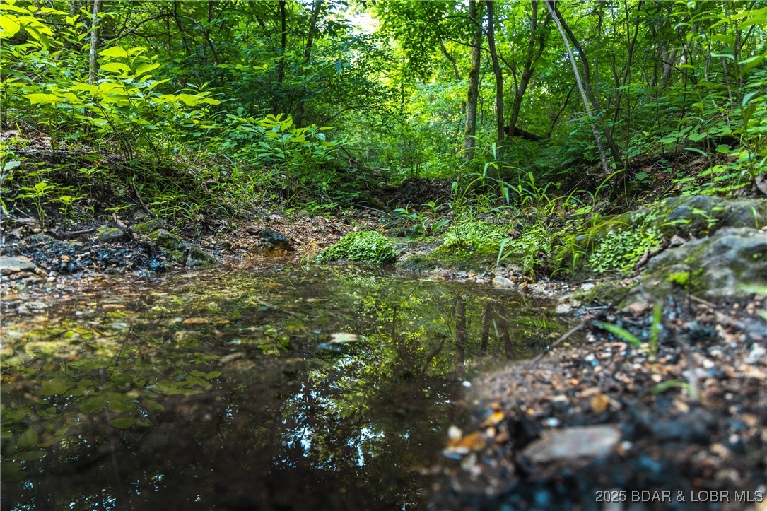 6 State Road Edwards, MO 65326 - Photo 14 of 27