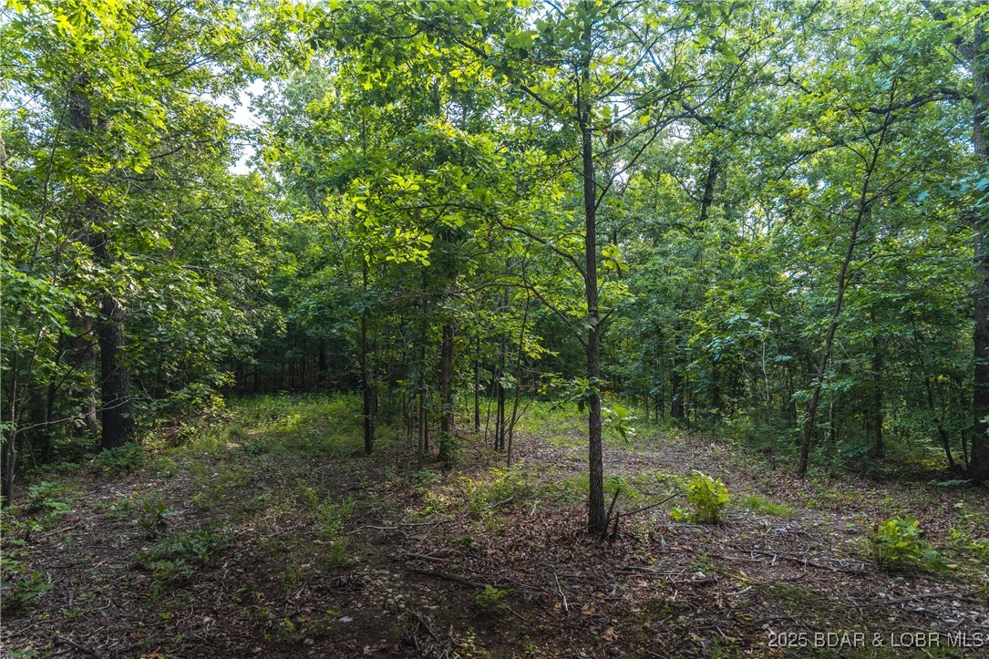 6 State Road Edwards, MO 65326 - Photo 17 of 27