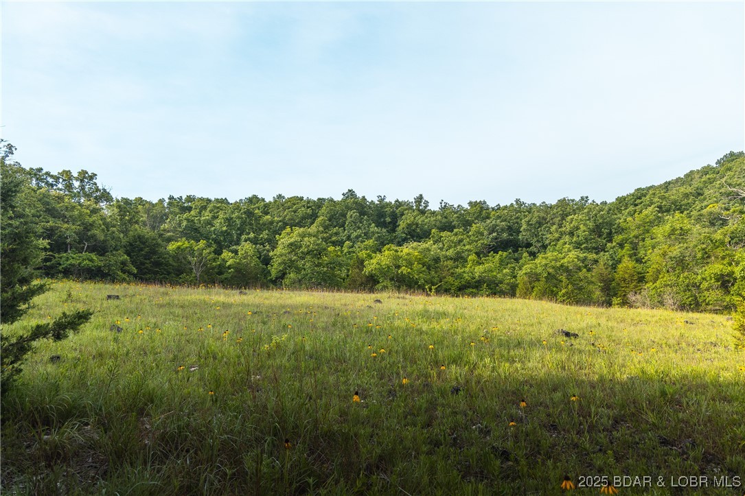 6 State Road Edwards, MO 65326 - Photo 4 of 27