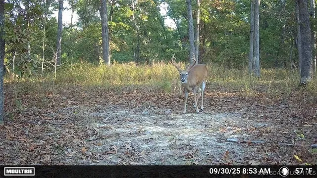 $207,150 | 6 State Road, Edwards, MO 65326