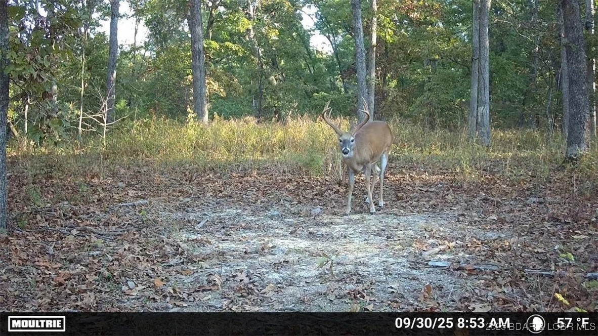 6 State Road Edwards, MO 65326 - Photo 7 of 27