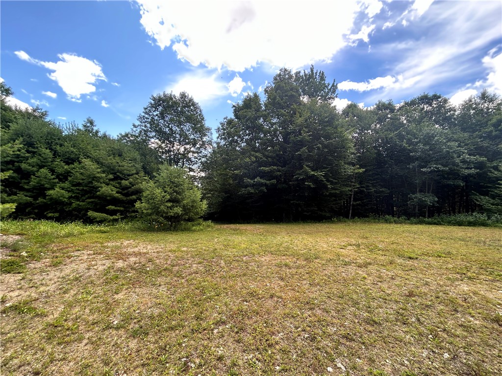 270 Collins-Gifford Valley Road Northampton, NY 12134 - Photo 2 of 26