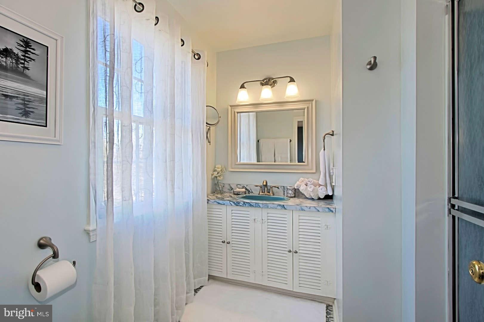 4500 Sudley Road Gainesville, VA 20155 - Photo 18 of 30 Bath (Master)