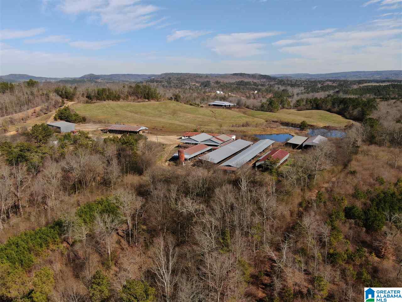 79 Highway 79 Cleveland, AL 35049 - Photo 27 of 36