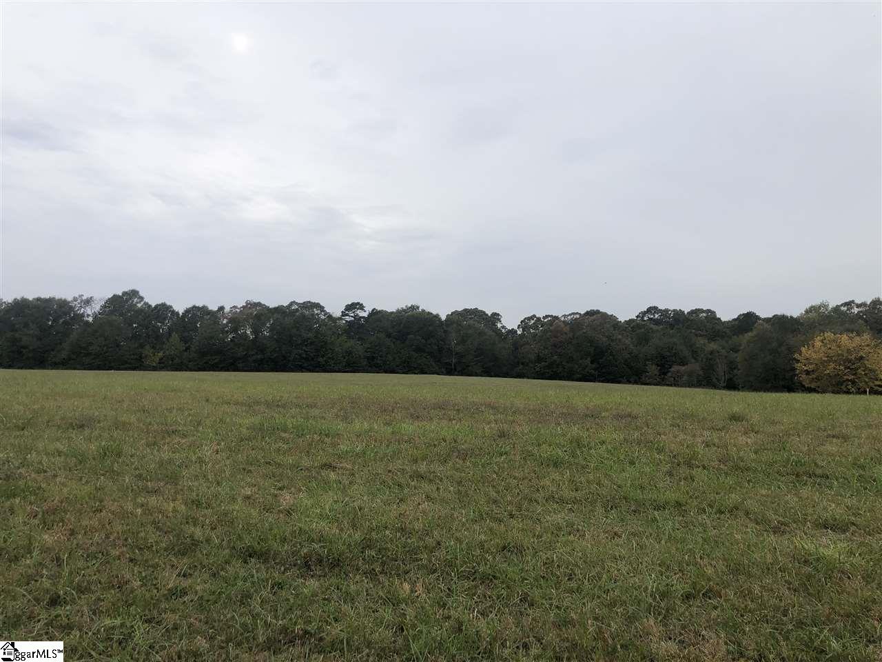 Moores Farm Road Gaffney, SC 29340 - Photo 1 of 2 Gallery Image 1