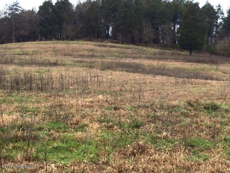 11831 Center Point Road Tompkinsville, KY 42167 - Photo 13 of 19 123 (Custom)