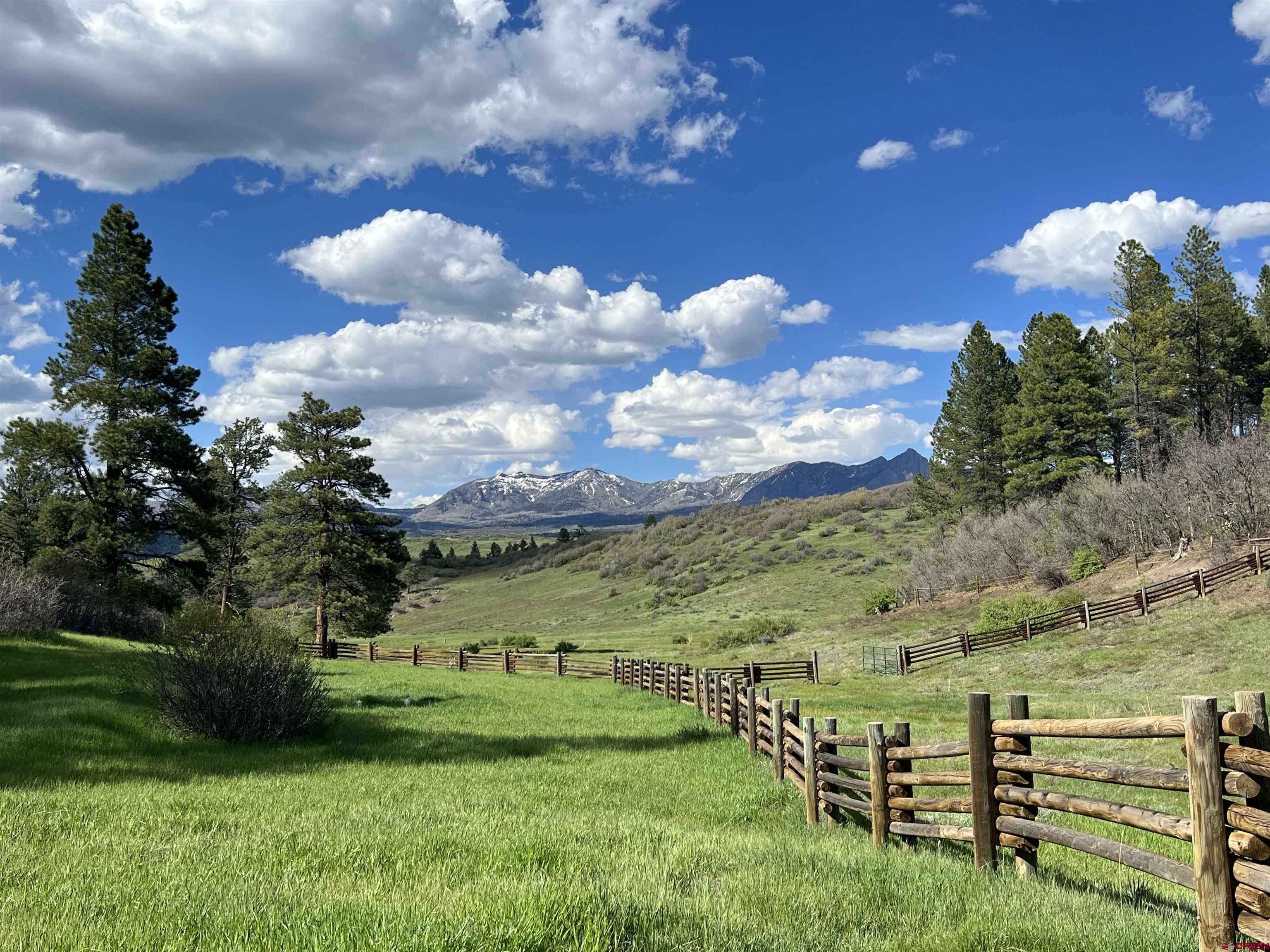 Lot 2 Spring Valley Ranch Road Chromo, CO 81128 - Photo 1 of 35 a view of a big yard with potted plants and large tree