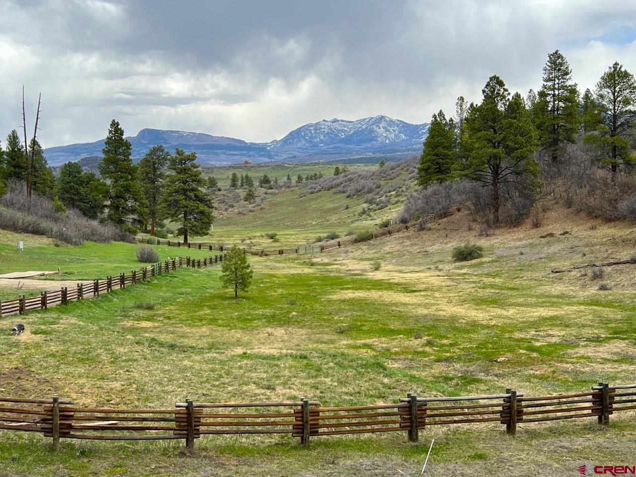 Lot 2 Spring Valley Ranch Road Chromo, CO 81128 - Photo 11 of 35