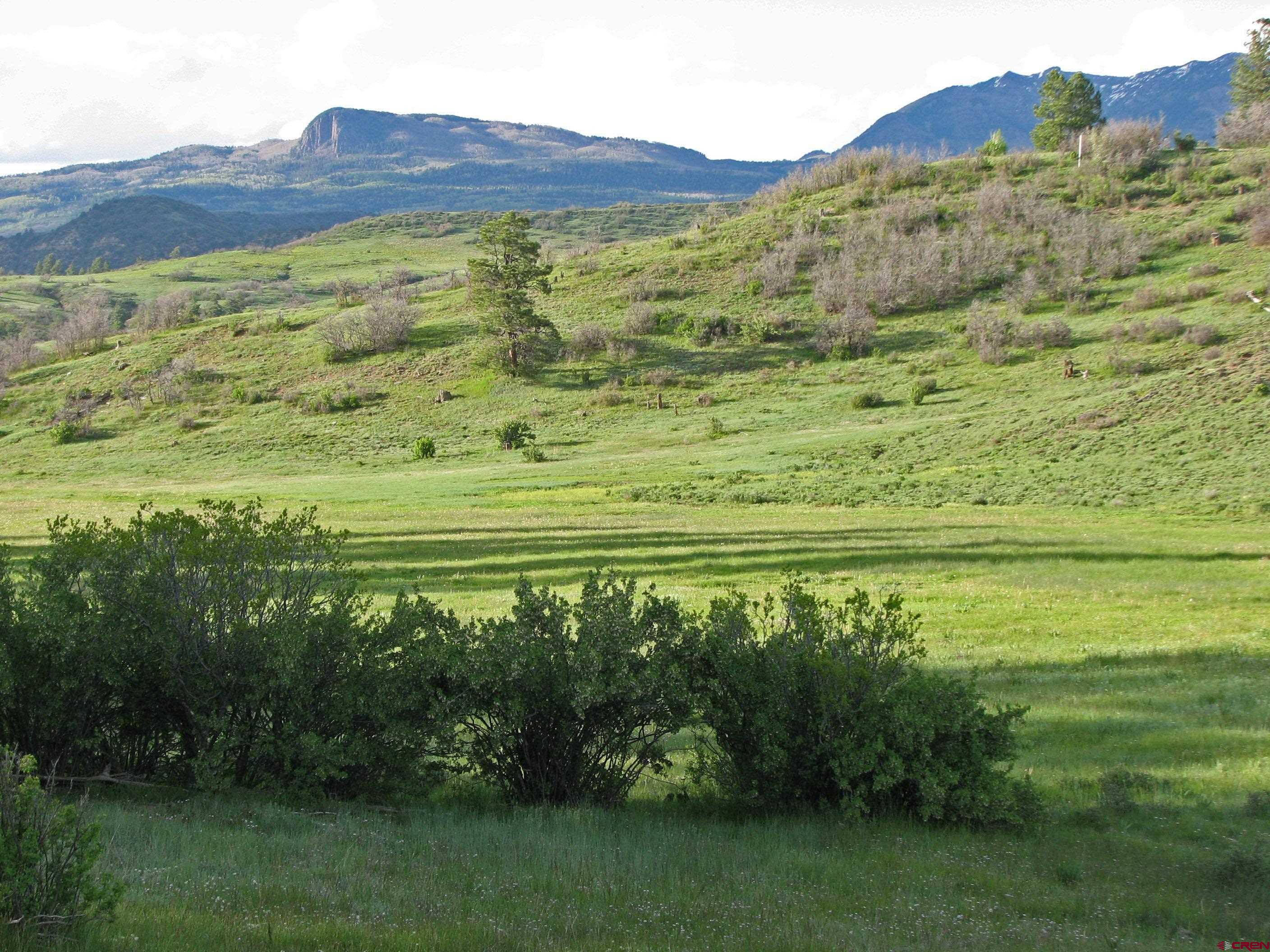Lot 2 Spring Valley Ranch Road Chromo, CO 81128 - Photo 15 of 35 a view of a lush green hillside and a houses