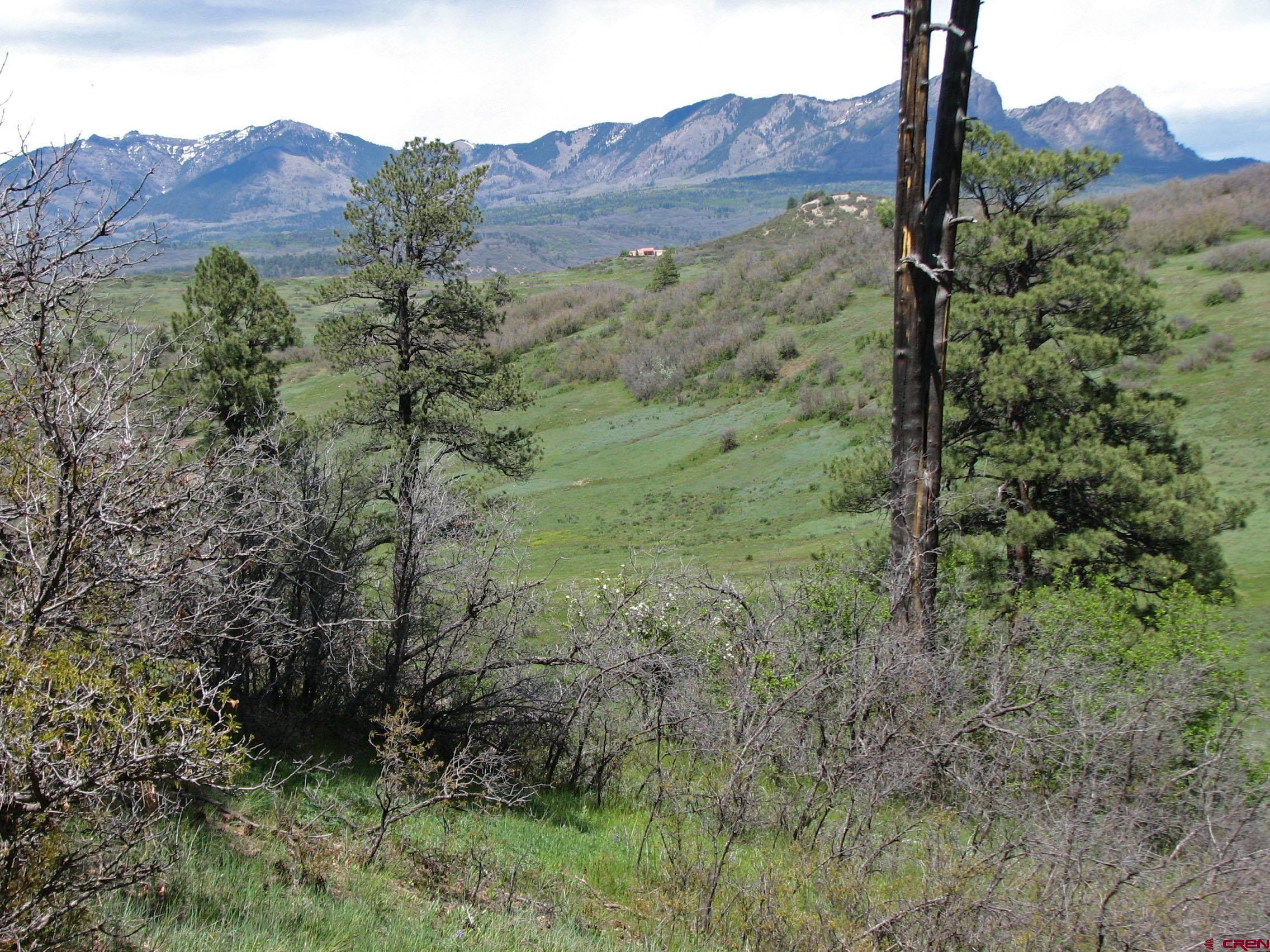 Lot 2 Spring Valley Ranch Road Chromo, CO 81128 - Photo 16 of 35 a view of a back yard