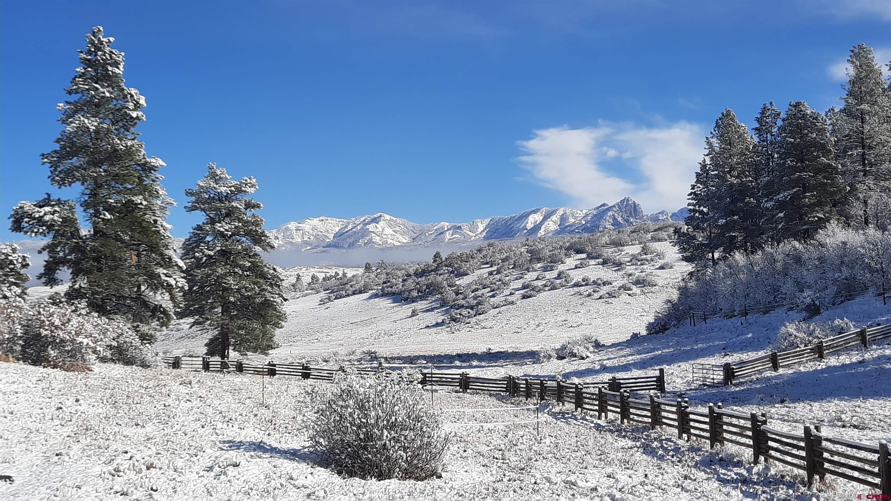 Lot 2 Spring Valley Ranch Road Chromo, CO 81128 - Photo 21 of 35 a view of a backyard of a house
