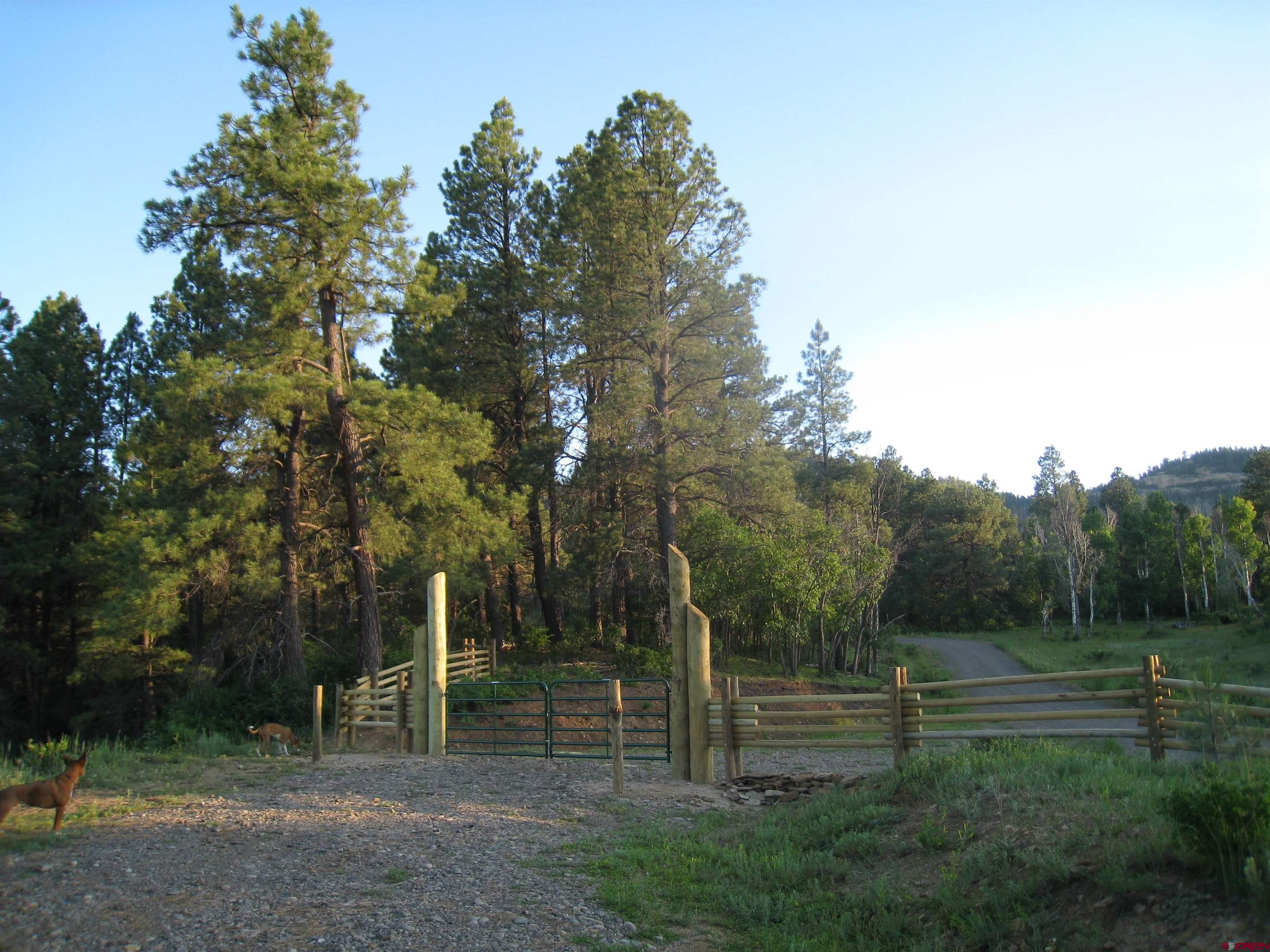 Lot 2 Spring Valley Ranch Road Chromo, CO 81128 - Photo 24 of 35