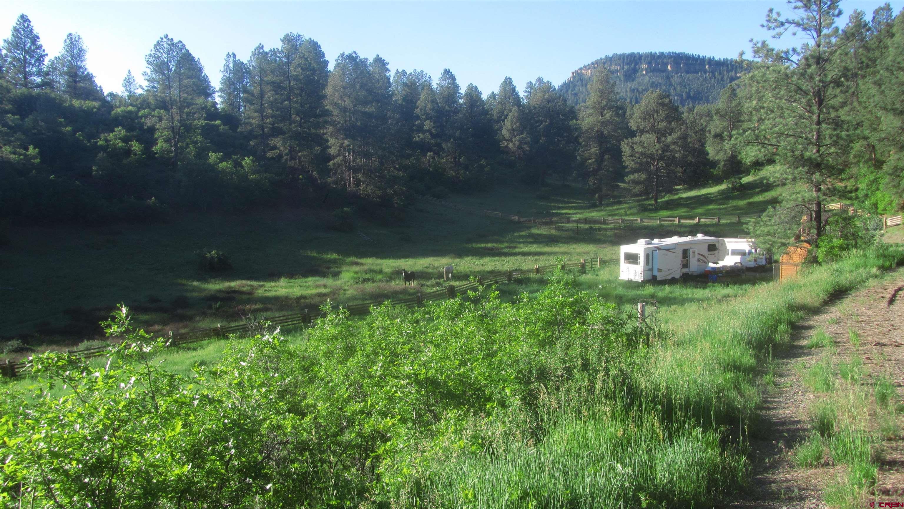 Lot 2 Spring Valley Ranch Road Chromo, CO 81128 - Photo 25 of 35