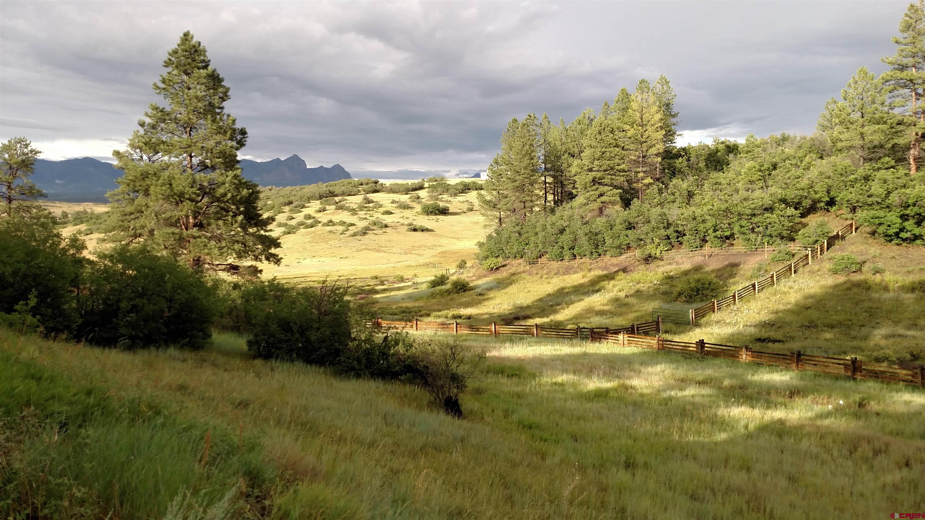 Lot 2 Spring Valley Ranch Road Chromo, CO 81128 - Photo 26 of 35