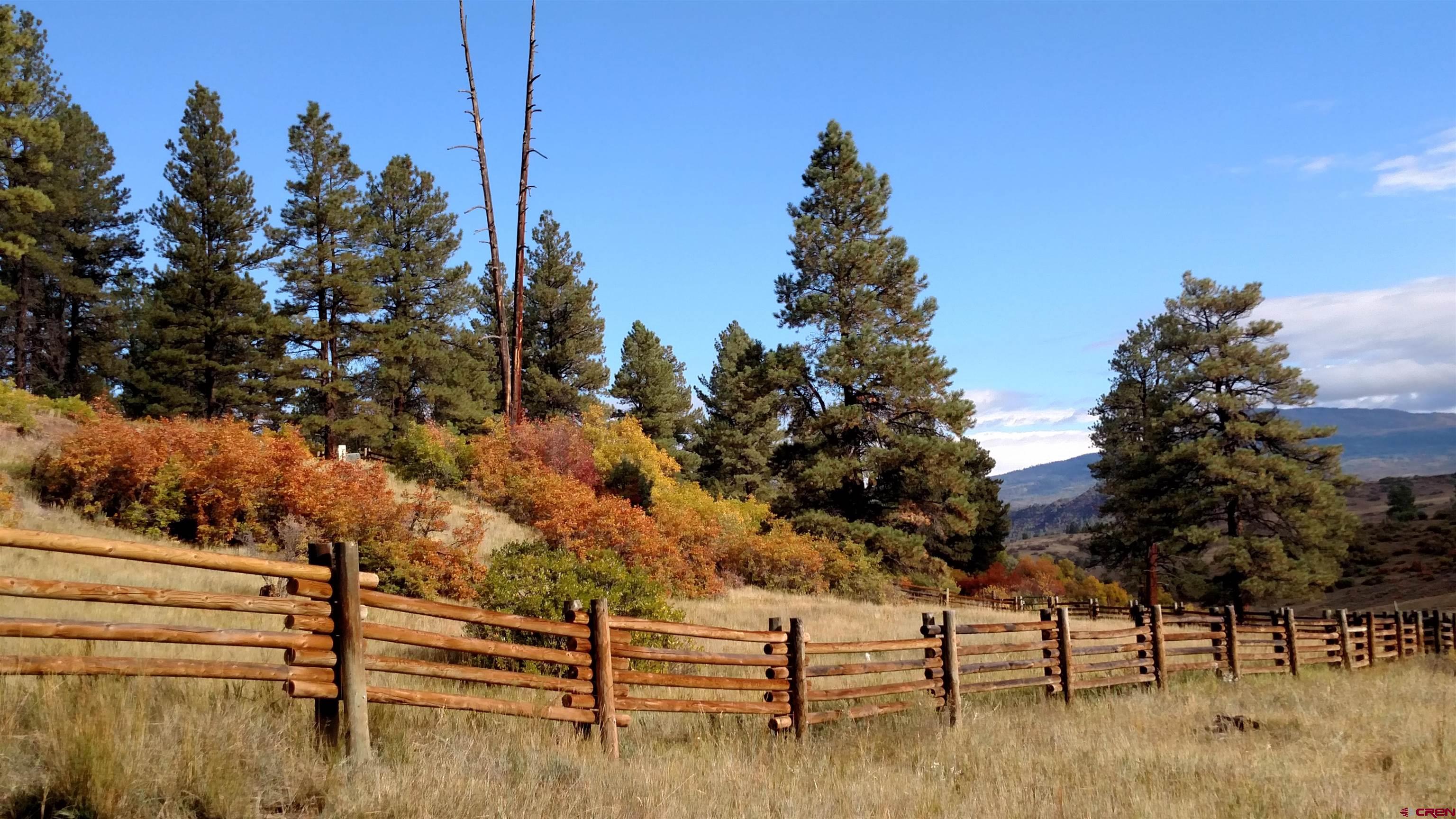 Lot 2 Spring Valley Ranch Road Chromo, CO 81128 - Photo 27 of 35
