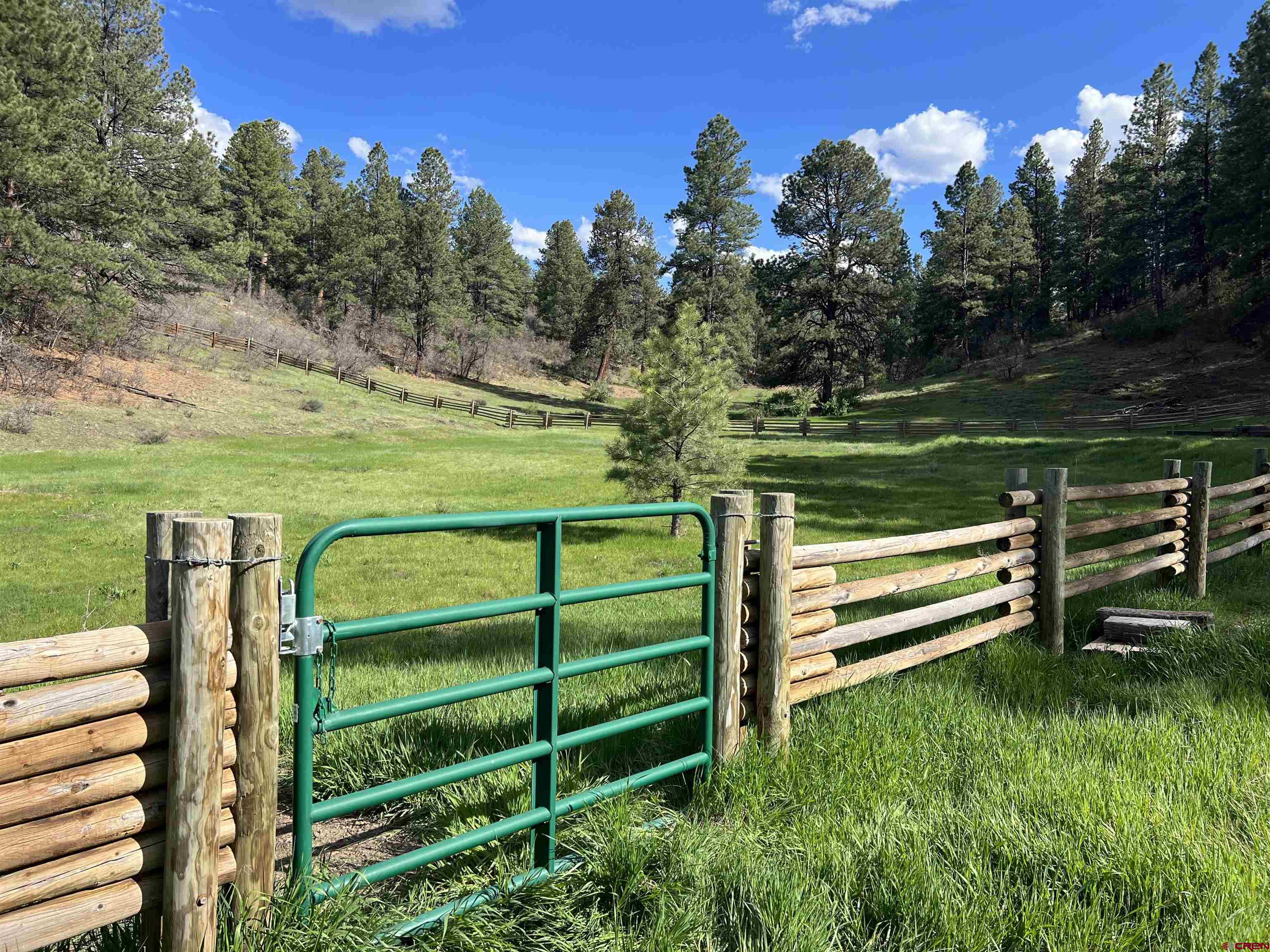 Lot 2 Spring Valley Ranch Road Chromo, CO 81128 - Photo 5 of 35 a view of a wooden deck with a yard